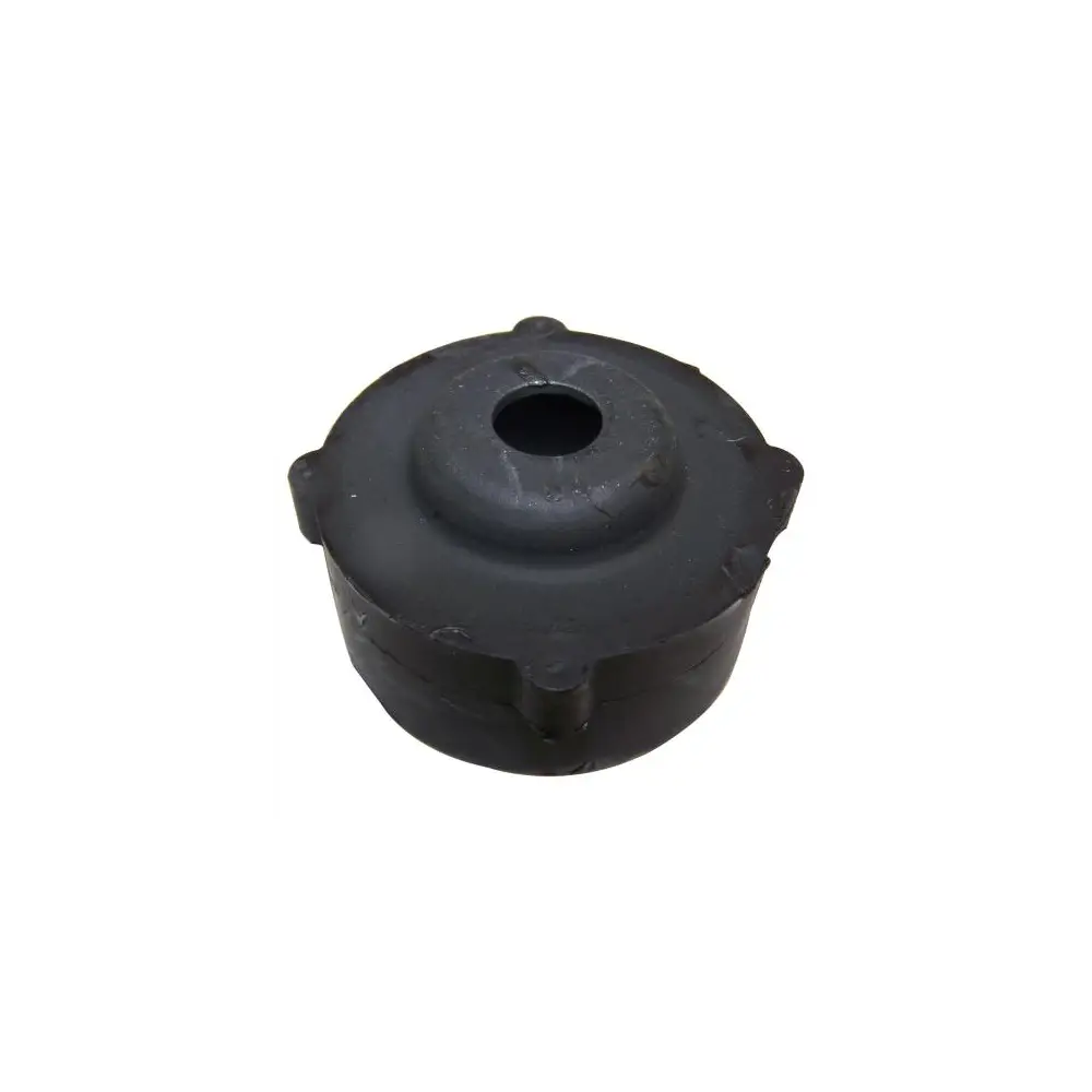 Body Mount Bushing - CRO55176180