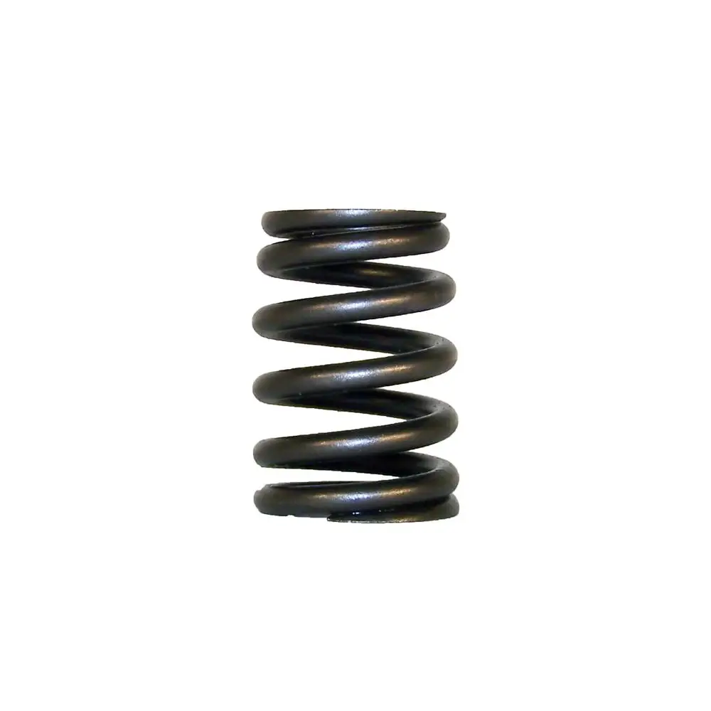 Engine Valve Spring - CRO53010388