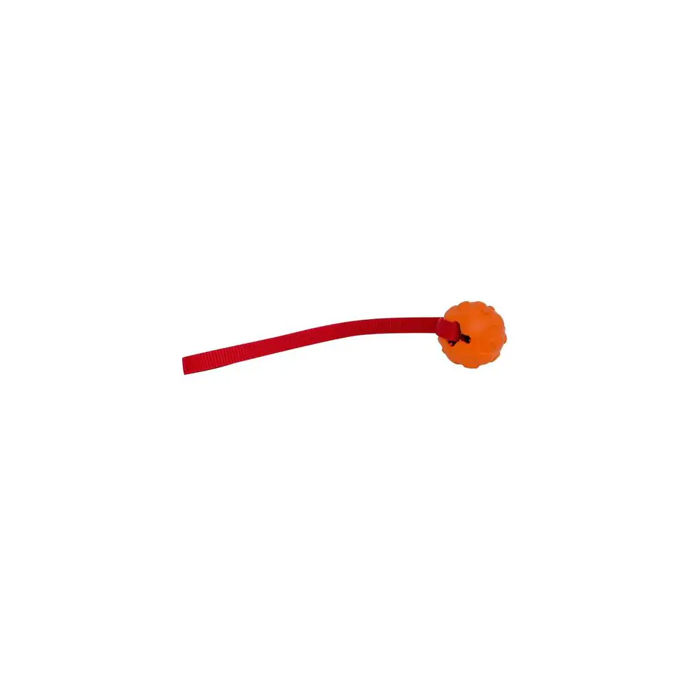 High Visibility Floating Rubber Dog Ball - VALA10-2002
